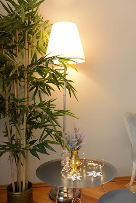 No.8: Lovely & Cosy 3-Room Heart Of The City Timisoara Exterior foto
